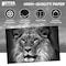Better Office Products All Occasion Greeting Cards & Envs, 4inx6in Black & White Wild Animal Portraits, Blank Inside, 50PK 64640 - alternate 3